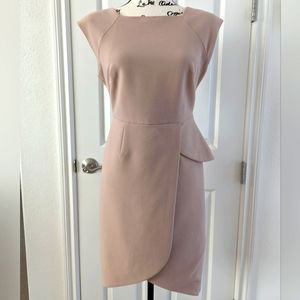 The Limited Scandal Edition Light Mauve Sheath Dress Size 4P